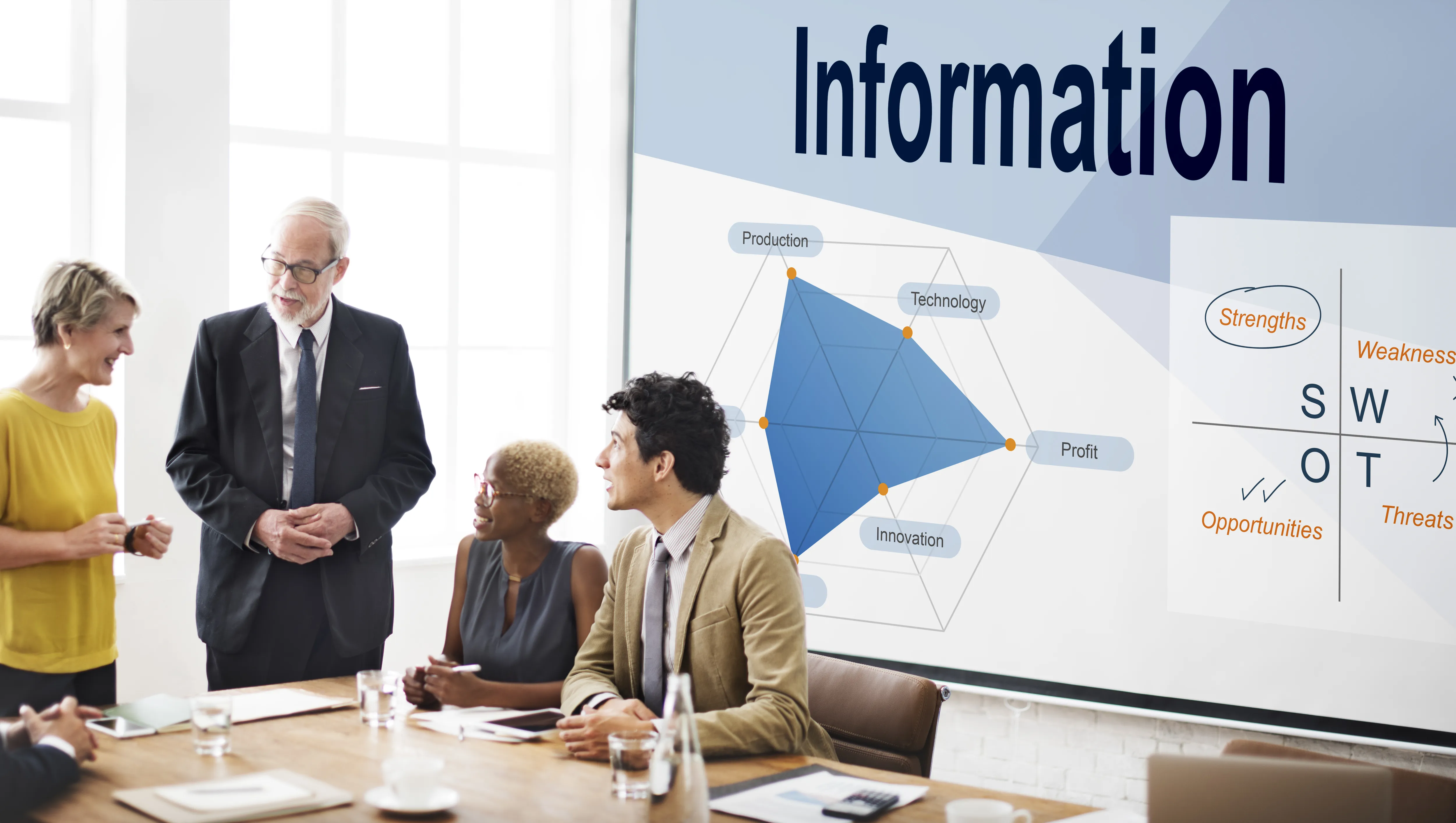 IT & Business Process Consultancy